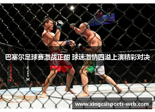 巴塞尔足球赛激战正酣 球迷激情四溢上演精彩对决